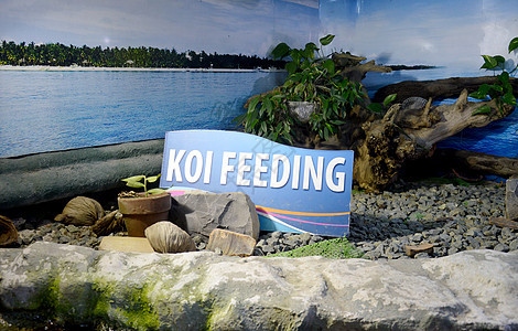 在一个公共水公园的Koi喂养标志图片