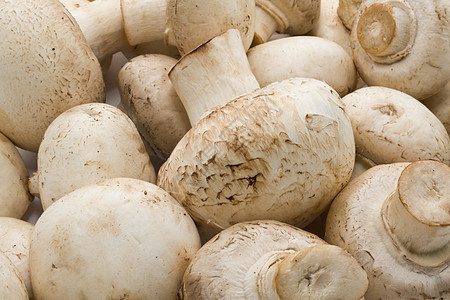 香农蘑菇食物白色烹饪营养蘑菇图片
