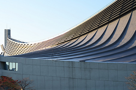 Yyoogi国家健身房免费屋顶运动员建筑学竞技场曲线运动竞赛建筑电缆现代主义者游泳图片