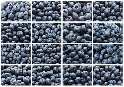 蓝莓甜点团体饮食食物水果营养蓝色宏观覆盆子浆果图片