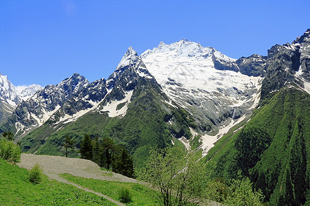高加索山脉 Dombai悬崖高度岩石季节顶峰石头风景首脑爬坡冰川图片
