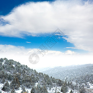 美国内华达州山中春雪顶峰公园旅行天空地标首脑蓝色岩石崎岖荒野图片