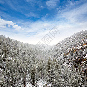 美国内华达州山中春雪旅行天空蓝色顶峰首脑崎岖树木高山风景荒野图片