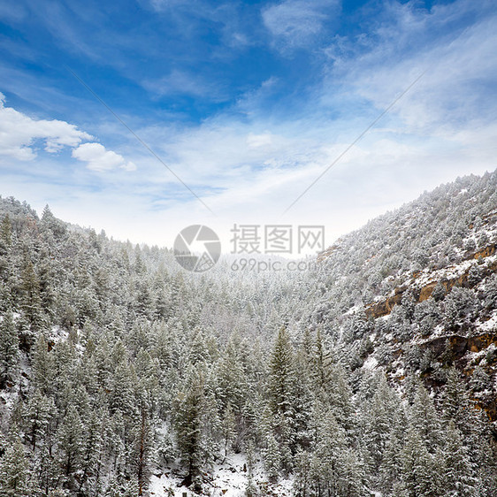 美国内华达州山中春雪旅行天空蓝色顶峰首脑崎岖树木高山风景荒野图片