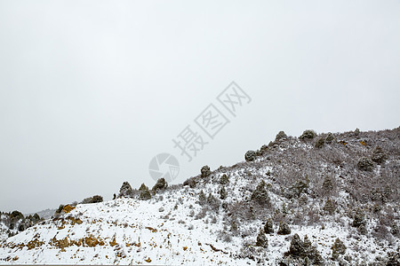 美国内华达州山中春雪崎岖首脑荒野岩石树木公园风景悬崖天空衬套图片