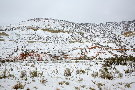 美国内华达州山中春雪风景树木衬套地标悬崖远足荒野山脉天空崎岖图片