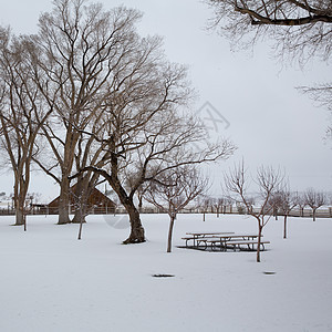 美国内华达州 公园第一次下雪风景树木高山植物群假期天空房屋岩石衬套长椅图片