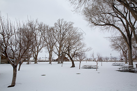 美国内华达州 公园第一次下雪顶峰树木风景旅行高山房屋假期衬套岩石长椅图片