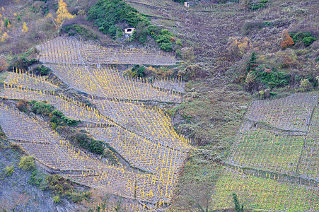 香草树脂阶梯景观地景钢印文化图片