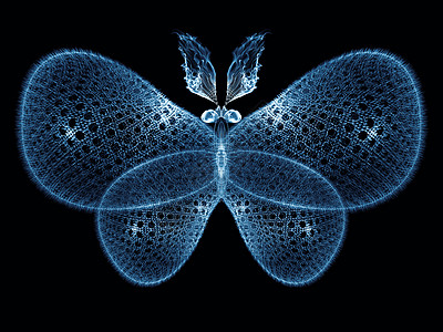 蝴蝶幻象触角创造力奉承元素翅膀航班数学设计昆虫学昆虫图片