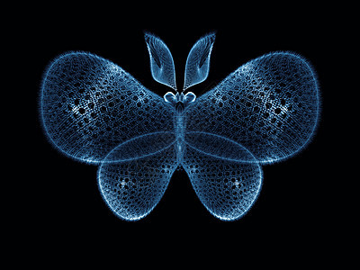 蝴蝶幻象野生动物花园航班创造力想像力昆虫宏观装饰品翅膀渲染图片