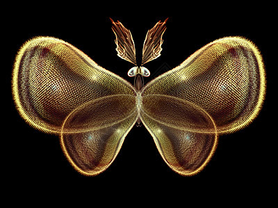 蝴蝶幻象装饰品生物学昆虫森林渲染设计航班想像力昆虫学宏观图片