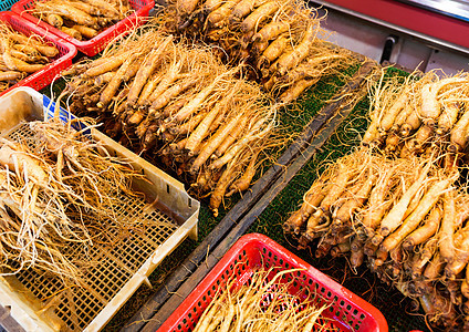 银根棍草本植物植物学盘子蔬菜草本食物白色香料市场美食图片