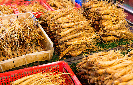 供食品市场销售的金生蔬菜食物药品白色美食草本植物盘子香料草本图片