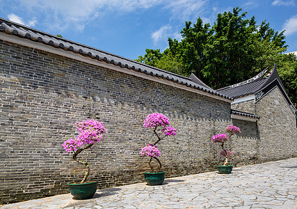 传统中国菜园植物石头建筑房子天空花园蓝色寺庙入口图片
