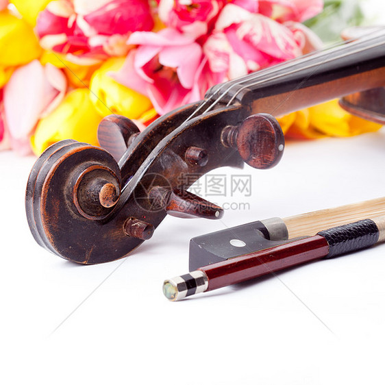 黑色旧小提琴艺术中提琴旋律明信片木头音乐古董花朵白色粉色图片