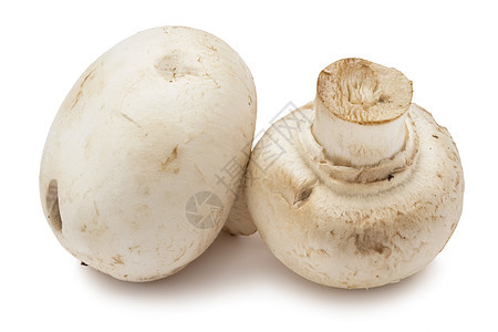 香农蘑菇白色蔬菜食物茶点团体蘑菇宏观美食营养图片