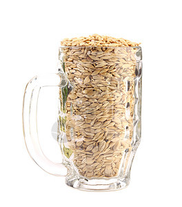 大麦啤酒杯大麦酿造啤酒谷物草本植物麦芽植被宏观植物学香气图片