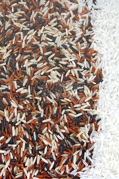 稻米背景卵子食物茉莉花文化纤维粮食主食孢子饮食三位一体图片