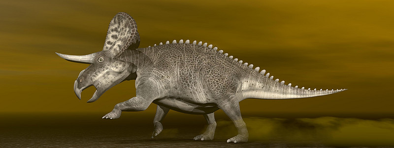 单立体恐龙  3D转化爬虫博物馆攻击蜥蜴捕食者龙类石头沙漠天空岩石图片