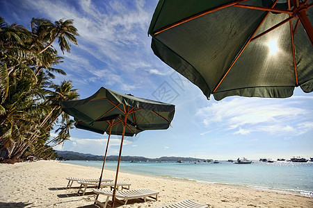 海滩白兰地棕榈旅行旅游太阳蓝色寒意孤独海岸线假期休息室图片