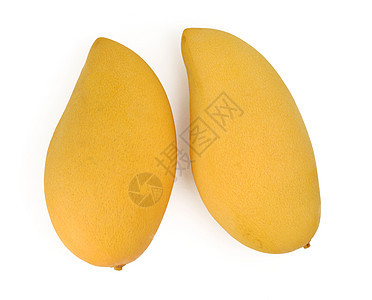 芒果水果气候热带健康饮食黄色图片