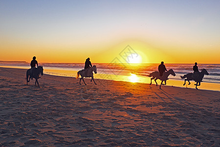 日落时马在海滩骑马沙漠反射运动男人跑步自由牛仔海岸地平线阳光图片