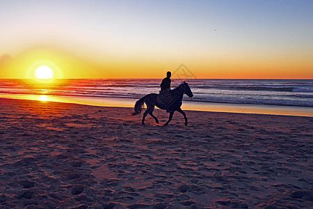 日落时马在海滩骑马男人海岸荒野野生动物地平线跑步尾巴骑术动物假期图片