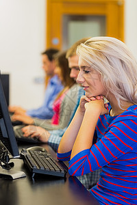 在计算机室使用计算机的学生人数 学生人数办公室大学教育浅色男人桌面专注技术男性班级图片