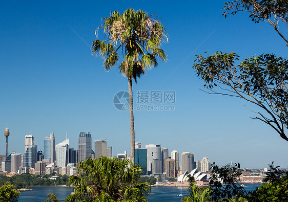 戏剧性全景照片悉尼港港口城市歌剧建筑学地标棕榈天际建筑晴天水平图片