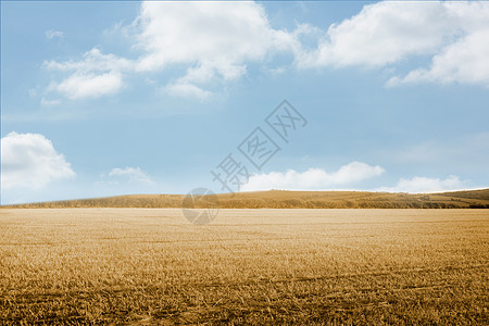 浅棕色景观计算机天空稻草绘图蓝色农村阳光场地图片