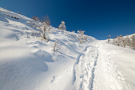 通过巡游滑雪探索阿尔卑斯山自由粉雪全景冰川季节运动极端勘探风景山峰图片