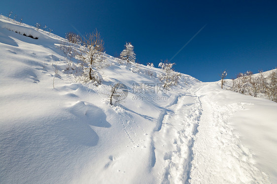 通过巡游滑雪探索阿尔卑斯山自由粉雪全景冰川季节运动极端勘探风景山峰图片