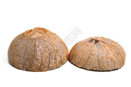 椰子壳食物摄影坚果影棚椰子白色气候热带水果背景图片