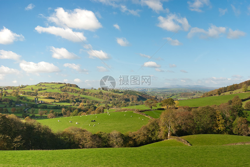 威尔士大牧场面积晴天动物国家农村山脉草原蓝色生活幸福树木图片