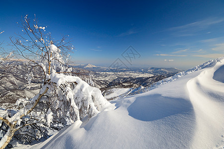 树蓝色冰川天空全景桦木勘探寂寞季节山峰阳光图片