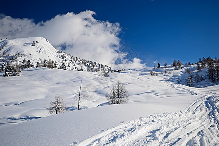 意大利阿尔卑斯山的冬季风景危险雪堆荒野小屋山峰冰川滑雪勘探全景冒险图片