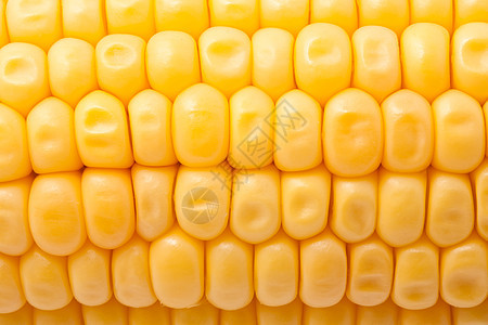 玉米角黄色内核棒子粮食营养爆米花生产耳朵绿色蔬菜图片