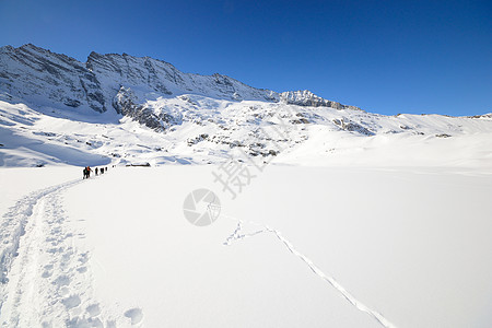 冬季登山运动冒险远足大天堂滑雪荒野山脉活动勘探雪鞋图片
