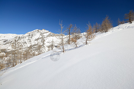冬天静静的高山景象自由风景全景天空阳光冰川勘探山脉粉雪季节图片