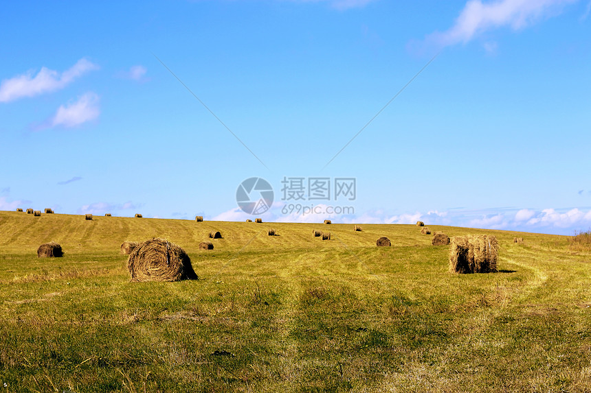 农田田地上的草原滚篮生长地平线栽培农业土地农村干草国家村庄场地图片