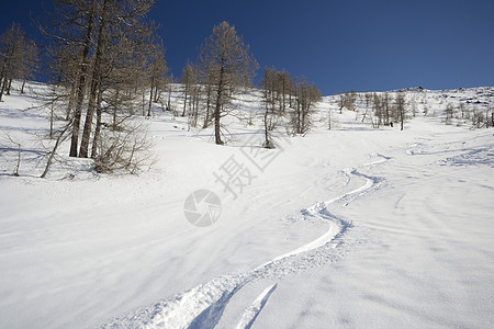 阿尔卑斯山的冬季冒险极限全景成就勘探愿望山峰冰川粉雪荒野运动图片