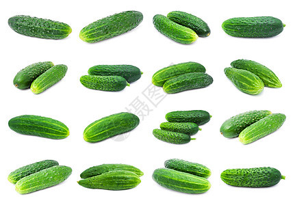 黄瓜白色蔬菜植物工作室农业绿色图片