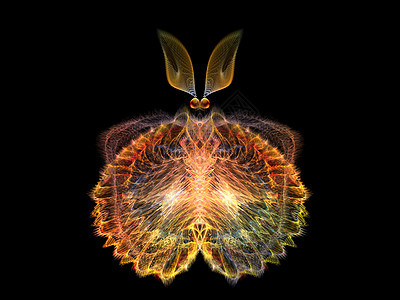 象形蝴蝶数学眼睛科学野生动物插图元素宏观漏洞昆虫创造力图片