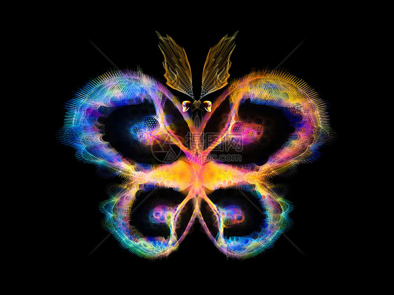 维维多蝴蝶数学眼睛昆虫花园插图生物学翅膀几何学森林航班图片