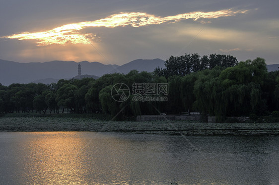 夏日宫殿蓝色历史花园天空金子晴天文化公园旅游风景图片