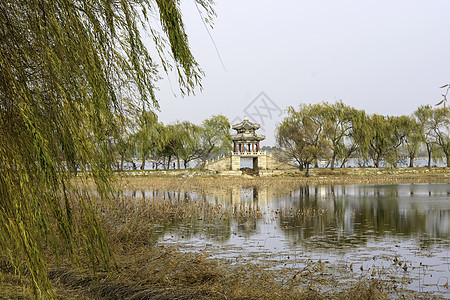 西戴克 西迪绿色地标公园黄色王朝风景皇家传统堤防天空图片