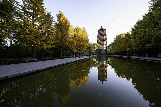 灵长塔旅行黄色起重机旅游历史性宝塔地标天空建筑学寺庙图片