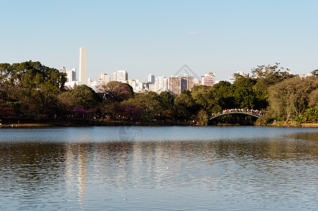 伊比拉普埃拉公园  圣保罗旅行景观建筑学树木市中心摩天大楼公园反射省会天空图片