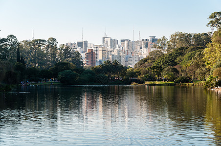 伊比拉普埃拉公园  圣保罗建筑物树木景观城市摩天大楼建筑学旅行公园风景目的地图片